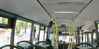 Grinon Autobuses