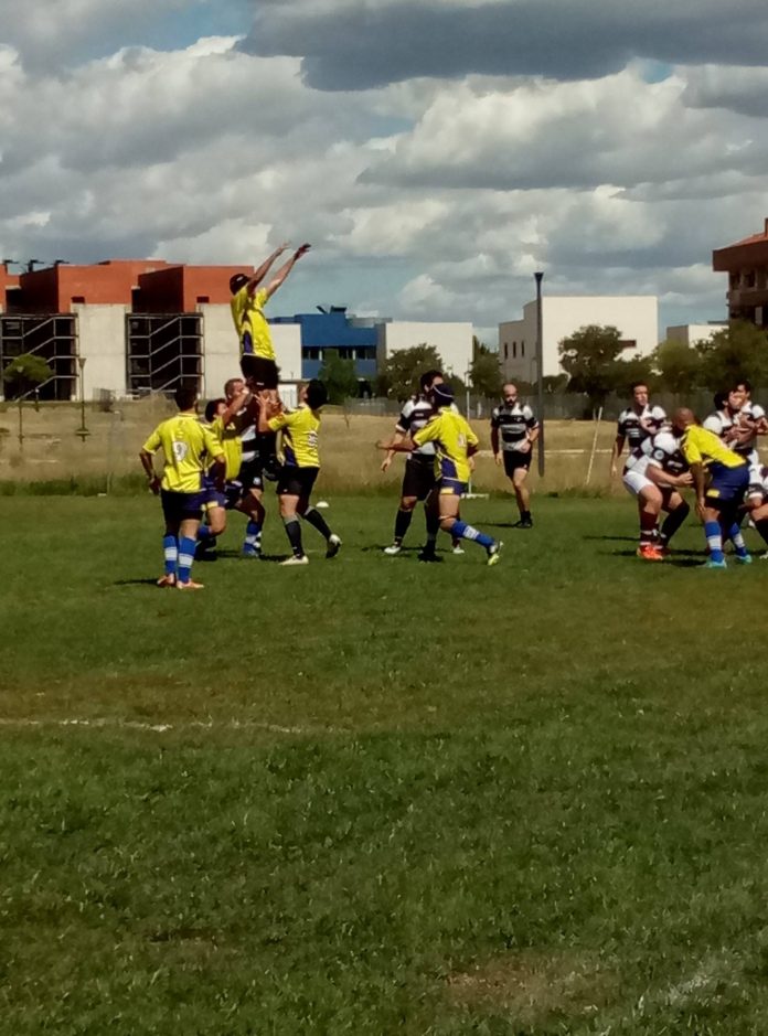 Rugby alcorcón