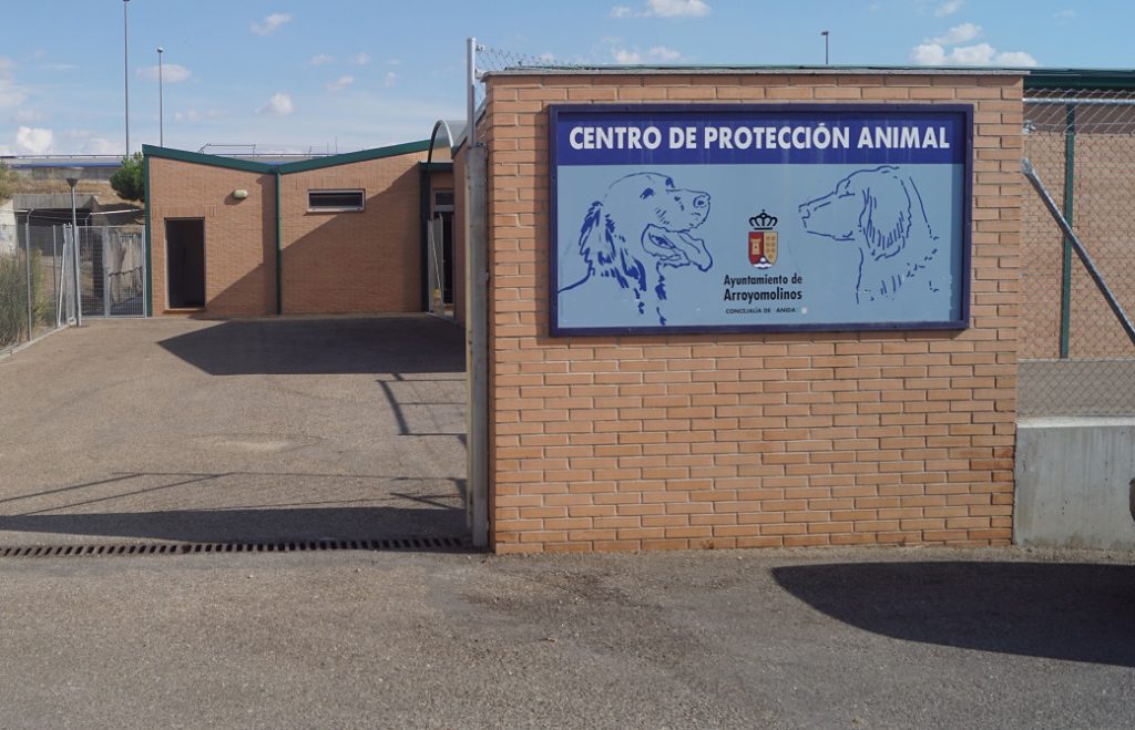 centro de proteccion animal arroyomolinos