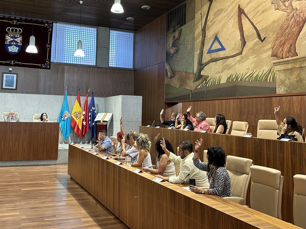Imagen del último Pleno
