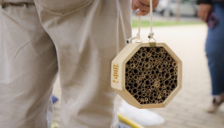 Casetas para insectos