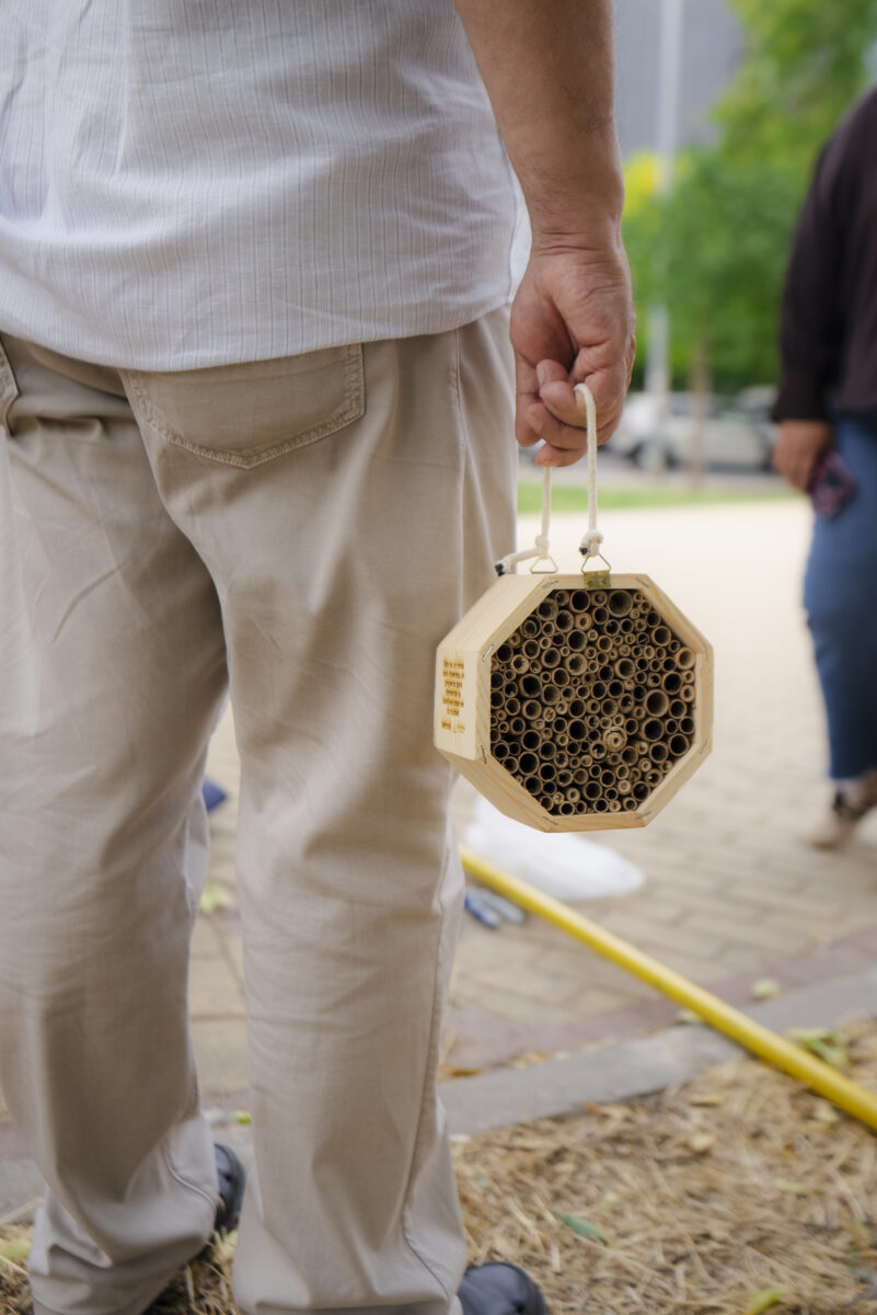 Casetas para insectos